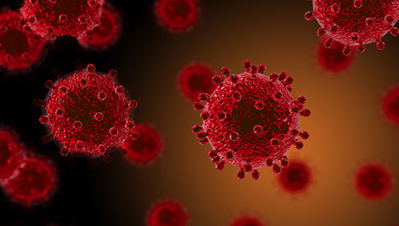 coronavirus